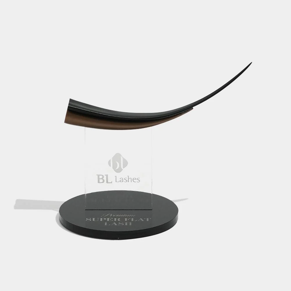 3D Lash Model - Image 3