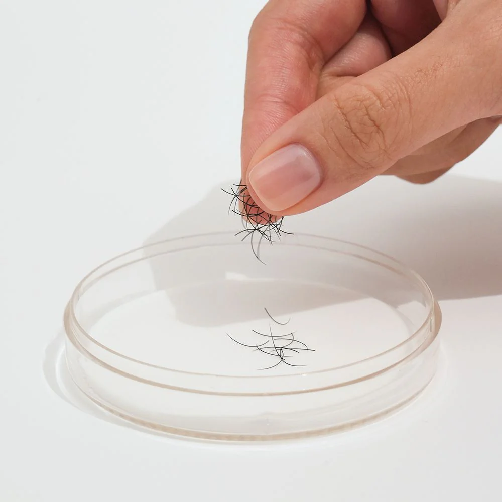 Lash Pad - Image 3