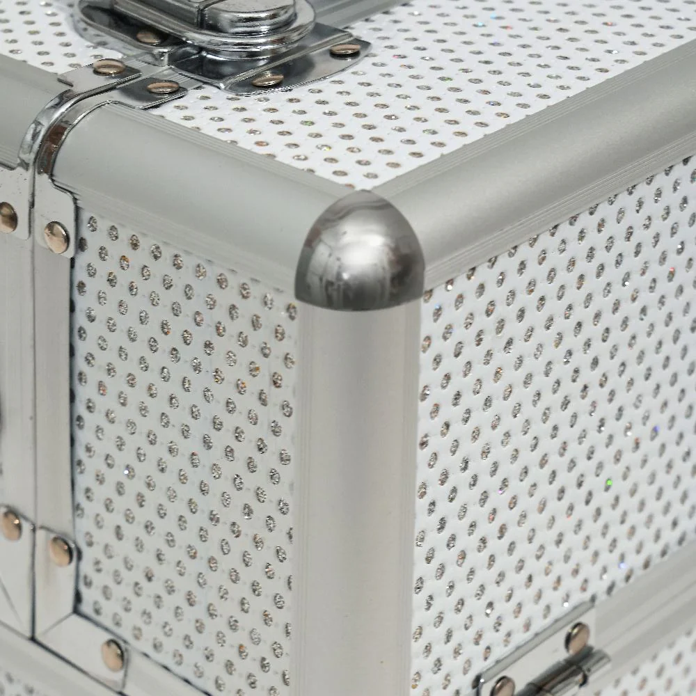 Silver Beauty Case - Image 4